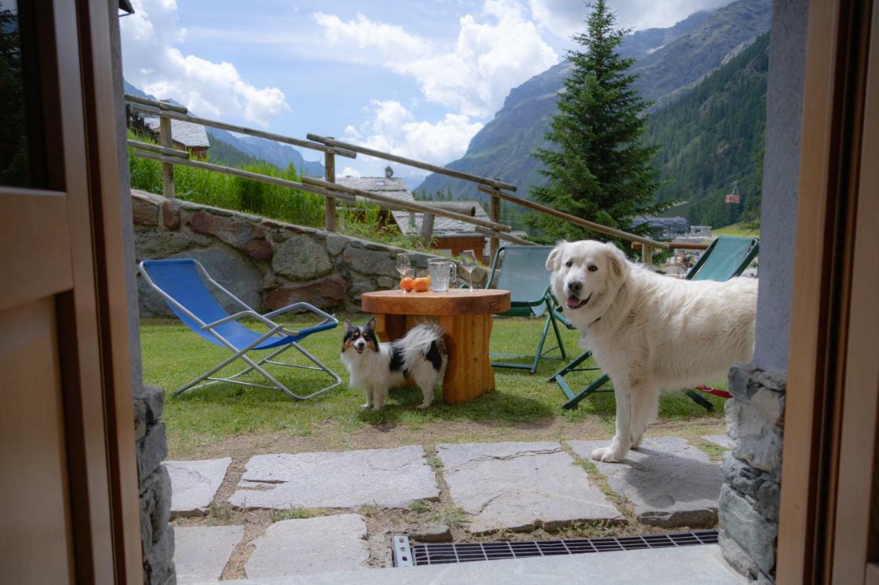 Walsertal Residence Gressoney-la-Trinité Exteriér fotografie